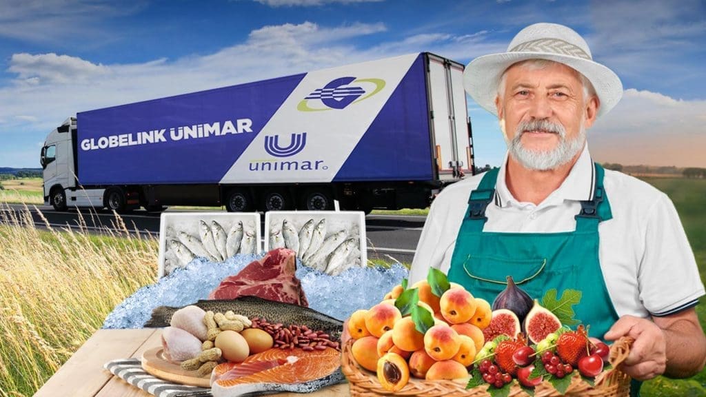 Soğuk Zincir ile Dünyanın Dört Bir Yanına