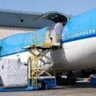 Havayolu Taşımacılığı Kargo Türleri Nelerdir?