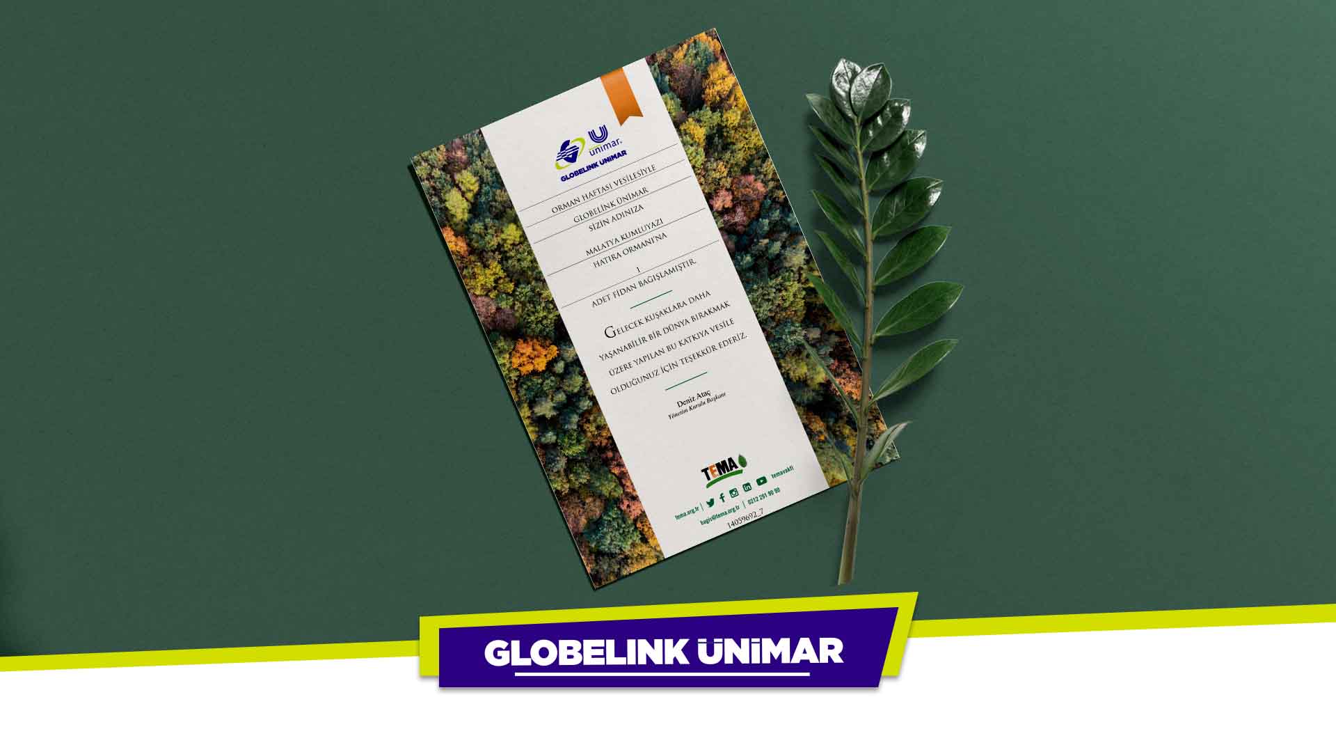 Globelink Ünimar’dan Fidan Bağışı
